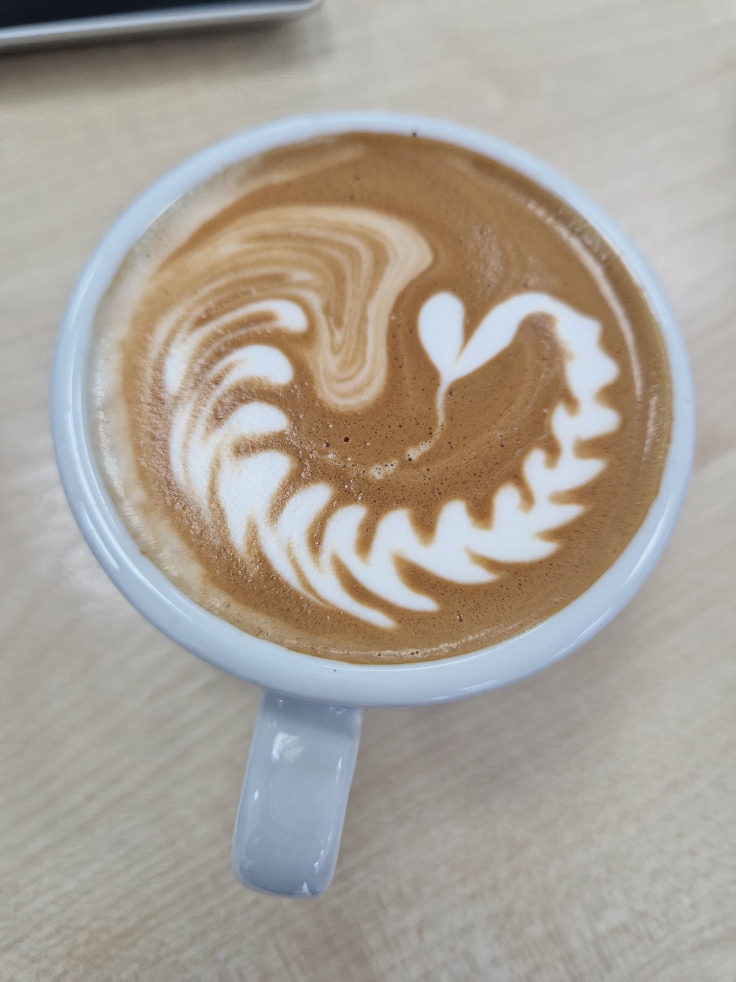 Latte Art / Foundation Skills
